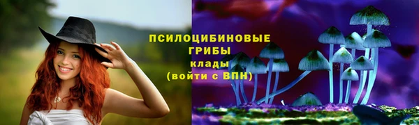 ECSTASY Вязники