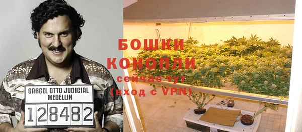 шишки Грязовец
