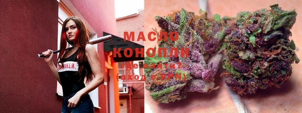 шишки Грязовец