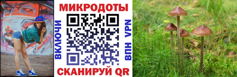 купить  сайты  Сосновка  Галлюциногенные грибы ЛСД 